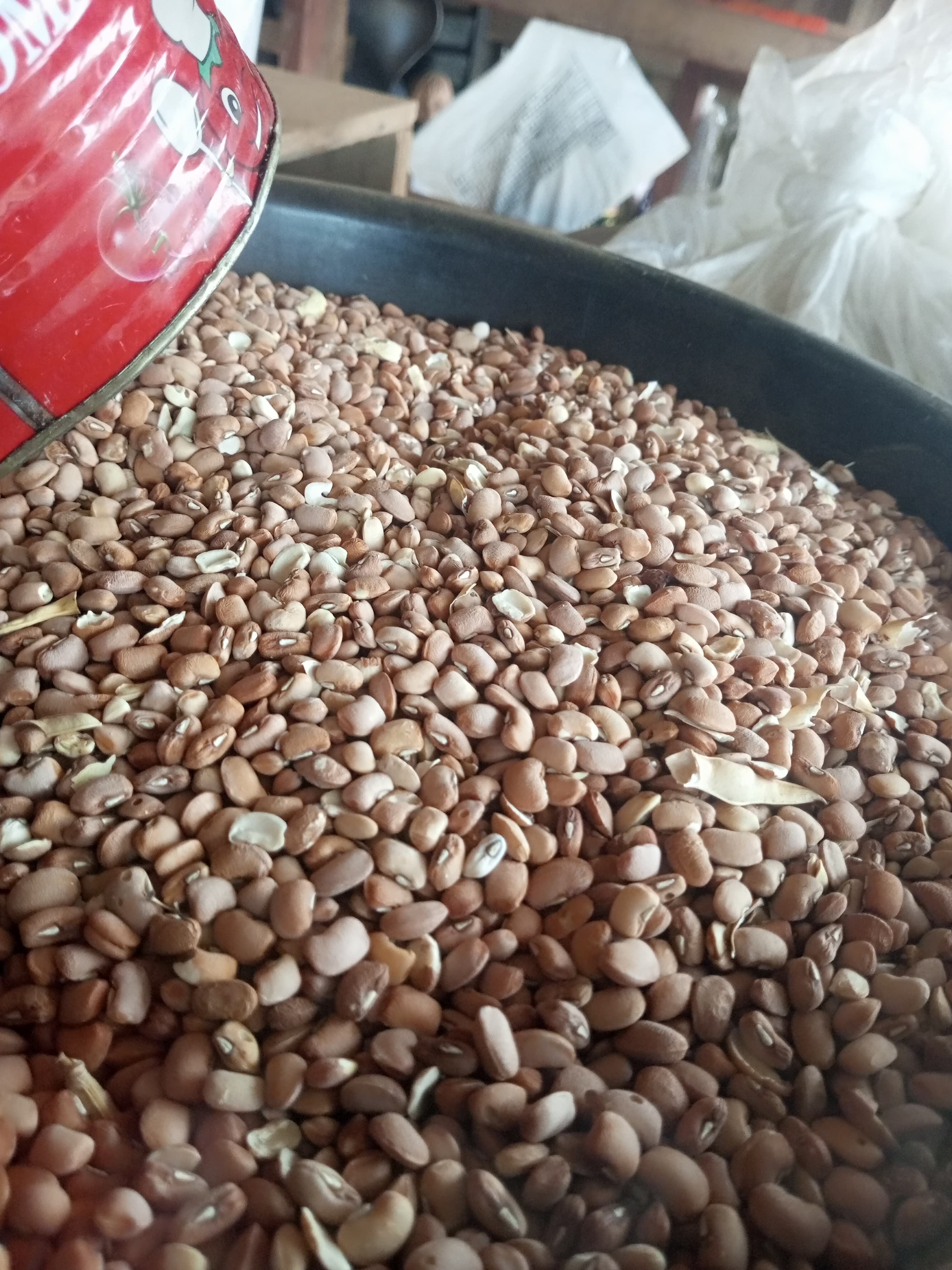 Drum beans