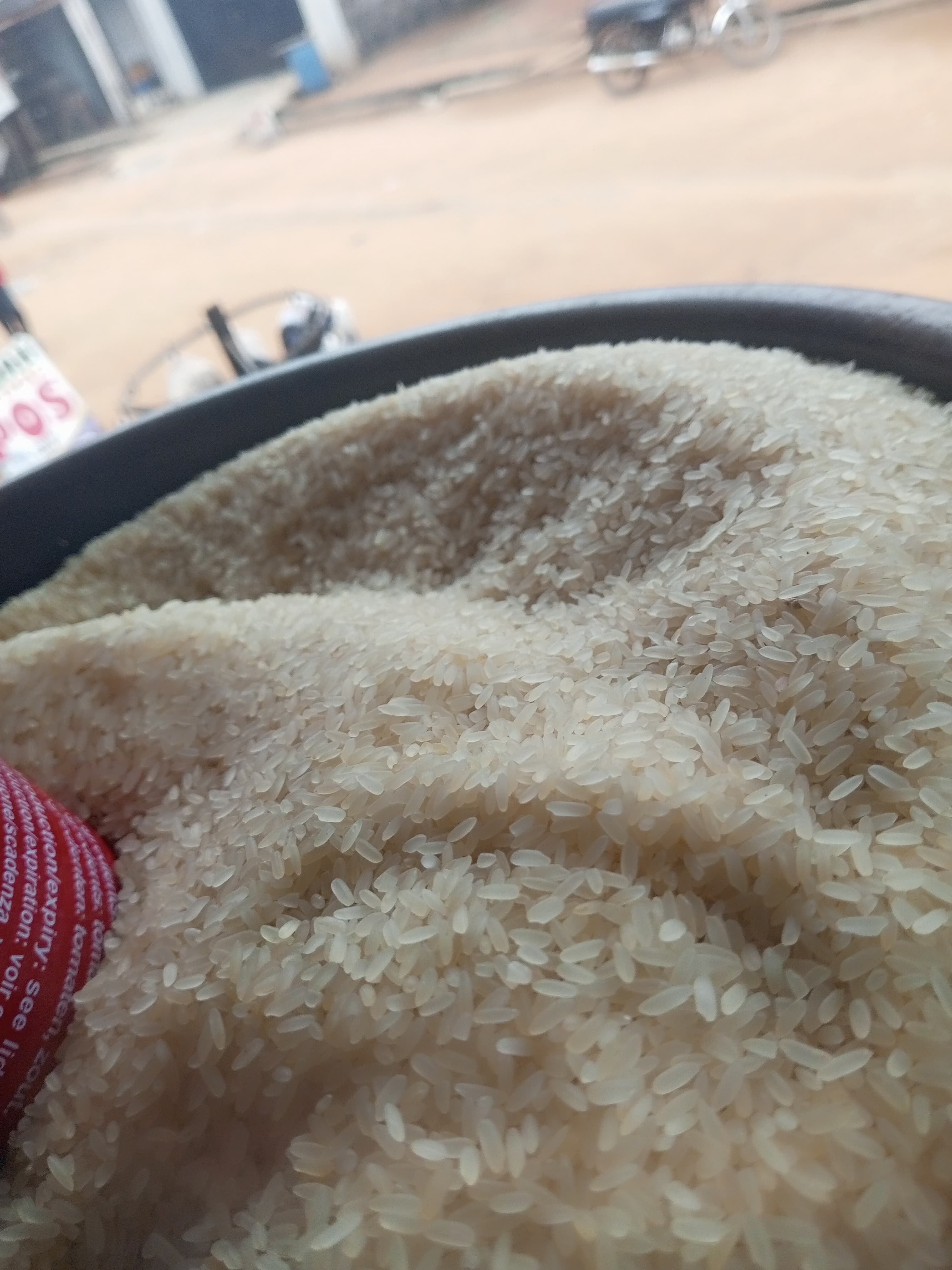 Rice